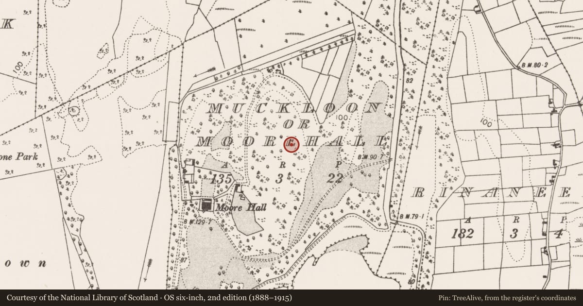 Ordnance Survey six-inch map, 2nd edition (1888–1915) covering the location of Enclosure, Muckloon Or Moorehall, County Mayo, with a pin at the register's coordinates
