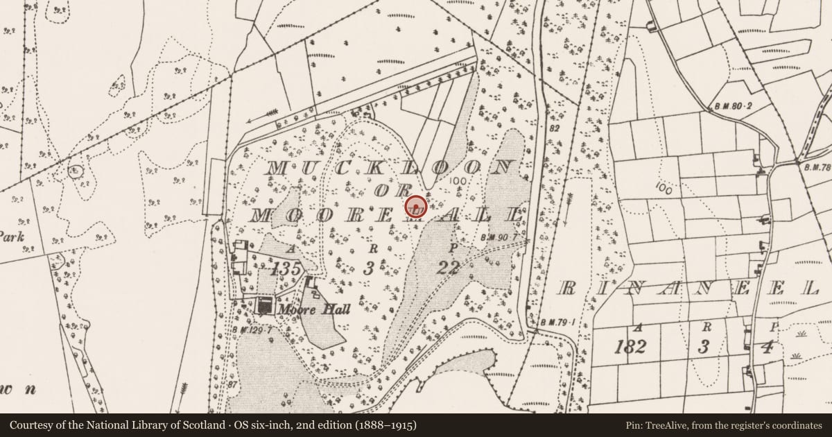 Ordnance Survey six-inch map, 2nd edition (1888–1915) covering the location of Enclosure, Muckloon Or Moorehall, County Mayo, with a pin at the register's coordinates