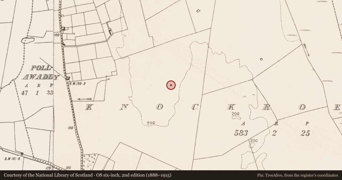 Ordnance Survey six-inch map, 2nd edition (1888–1915) covering the location of Burial, Knockroe (Clanmorris By., Mayo Par.), County Mayo, with a pin at the register's coordinates
