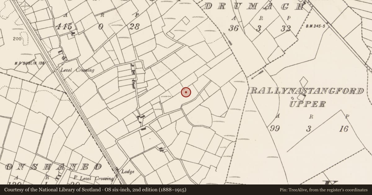 Ordnance Survey six-inch map, 2nd edition (1888–1915) covering the location of Enclosure, Cloonboy, County Mayo, with a pin at the register's coordinates