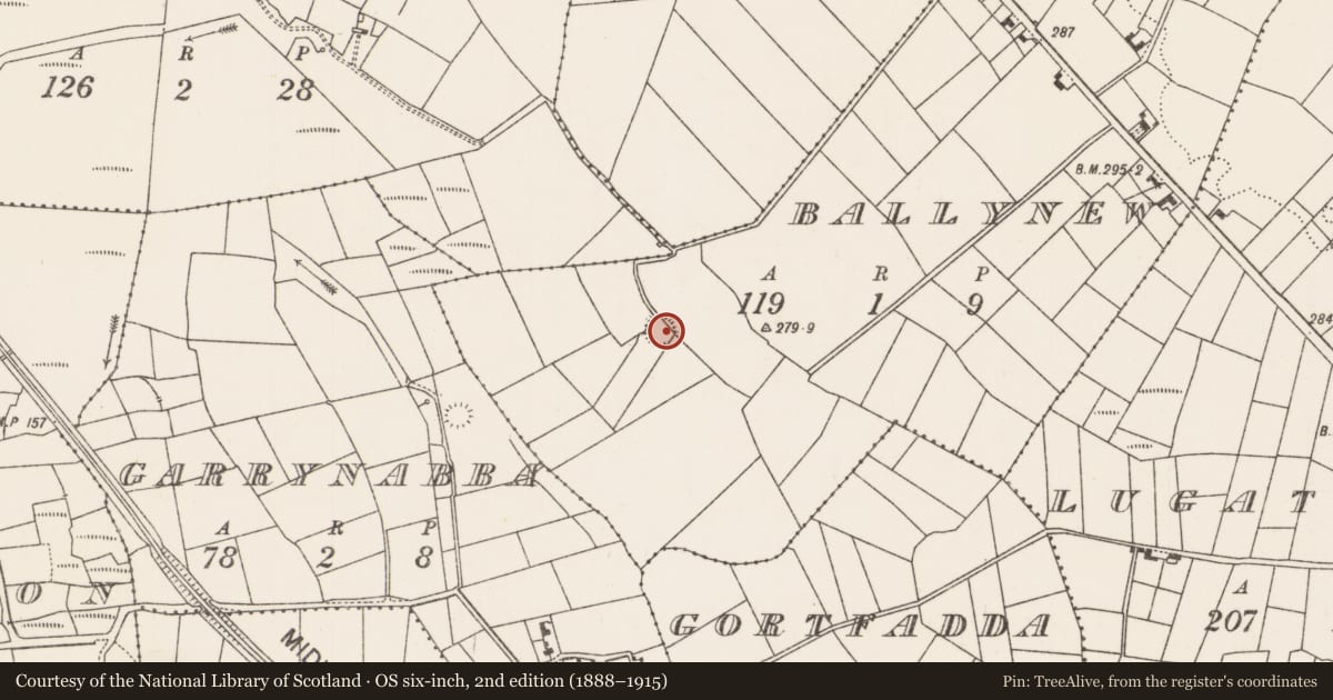 Ordnance Survey six-inch map, 2nd edition (1888–1915) covering the location of Enclosure, Ballynew (Clanmorris By., Kilcolman Par.), County Mayo, with a pin at the register's coordinates