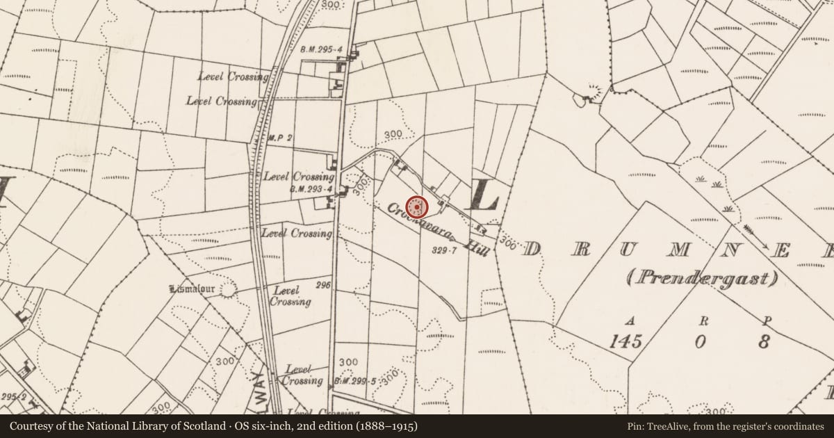Ordnance Survey six-inch map, 2nd edition (1888–1915) covering the location of Earthwork, Drumneen, County Mayo, with a pin at the register's coordinates