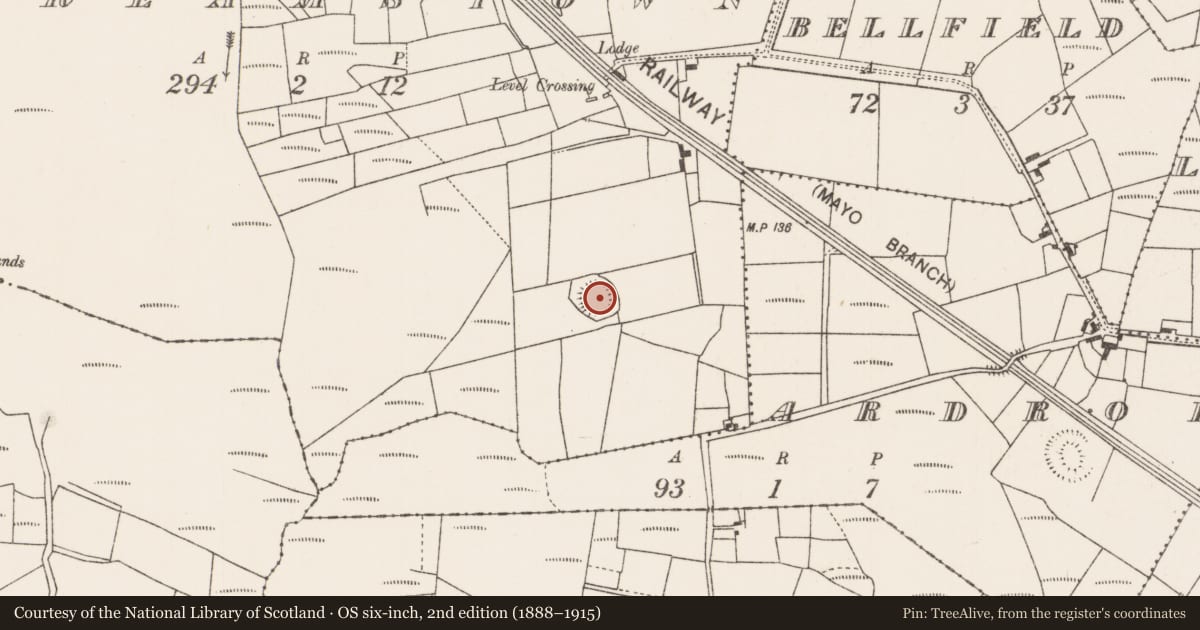 Ordnance Survey six-inch map, 2nd edition (1888–1915) covering the location of Enclosure, Streamstown, County Mayo, with a pin at the register's coordinates