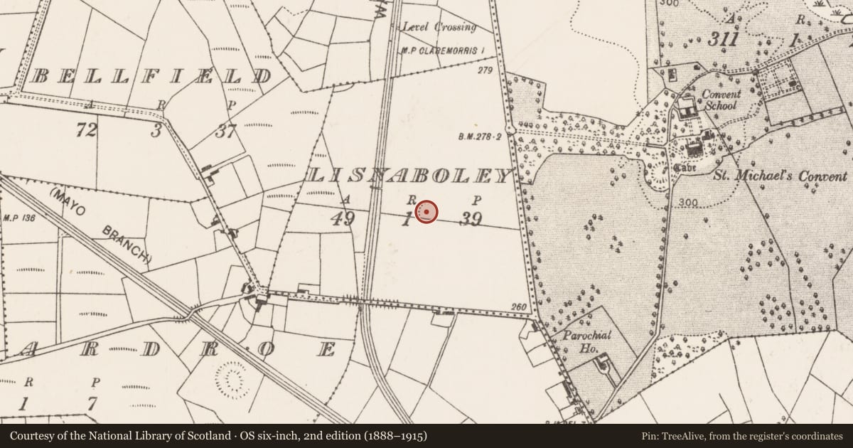 Ordnance Survey six-inch map, 2nd edition (1888–1915) covering the location of Ringfort - rath, Lisnaboley, County Mayo, with a pin at the register's coordinates