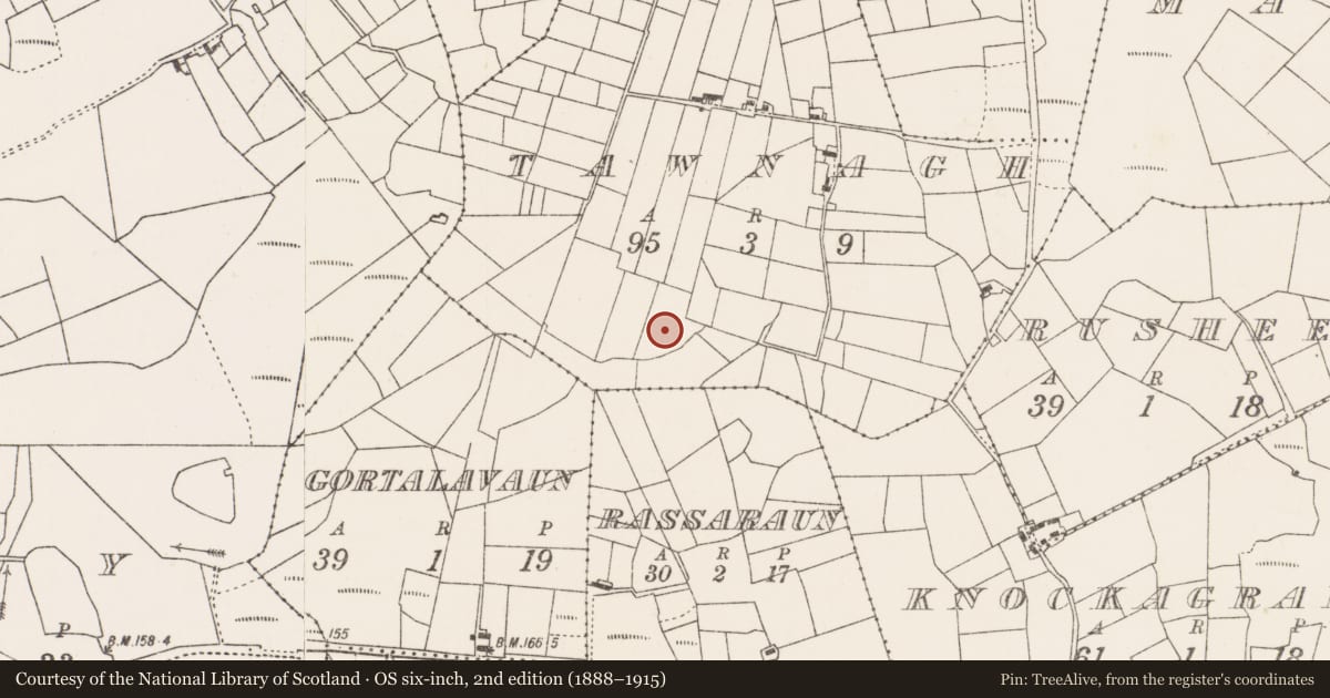 Ordnance Survey six-inch map, 2nd edition (1888–1915) covering the location of Ringfort - rath, Tawnagh (Clanmorris By., Tagheen Par.), County Mayo, with a pin at the register's coordinates