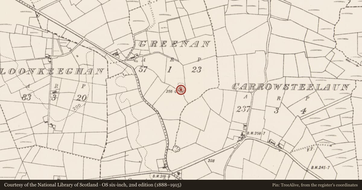 Ordnance Survey six-inch map, 2nd edition (1888–1915) covering the location of Enclosure, Greenan, County Mayo, with a pin at the register's coordinates