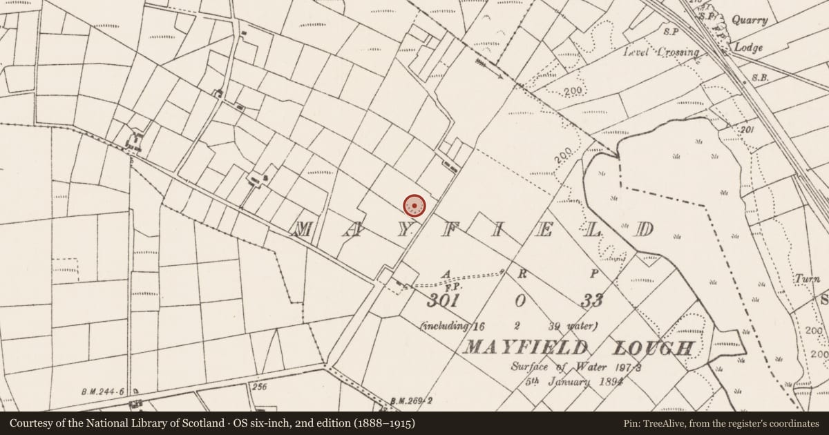 Ordnance Survey six-inch map, 2nd edition (1888–1915) covering the location of Enclosure, Mayfield, County Mayo, with a pin at the register's coordinates