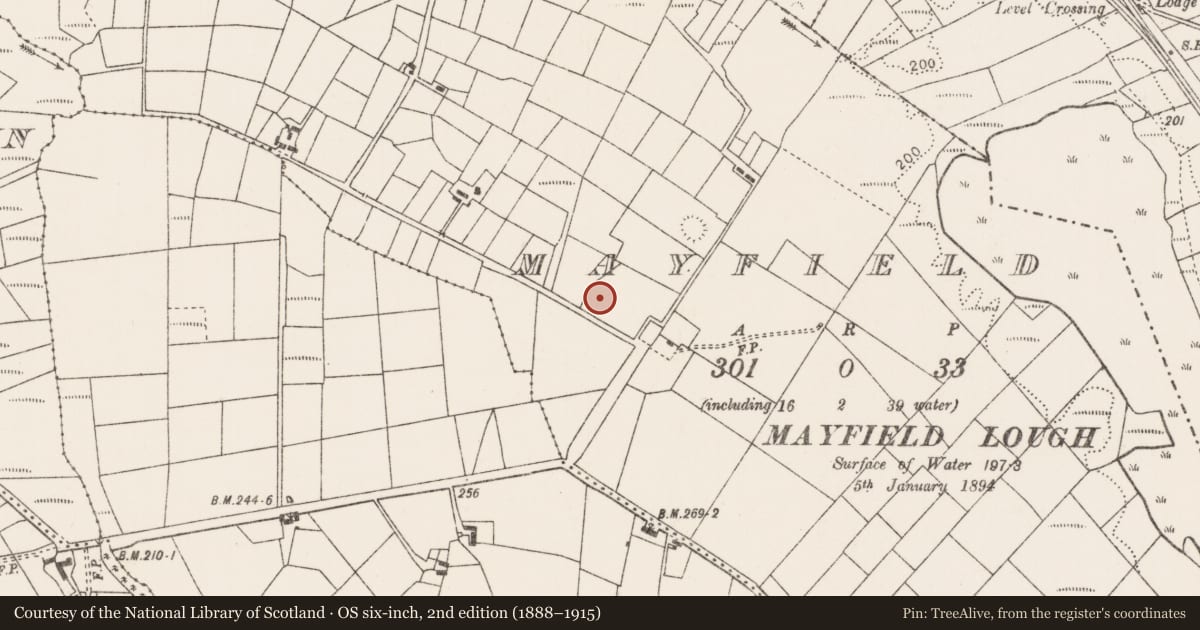 Ordnance Survey six-inch map, 2nd edition (1888–1915) covering the location of Enclosure, Mayfield, County Mayo, with a pin at the register's coordinates