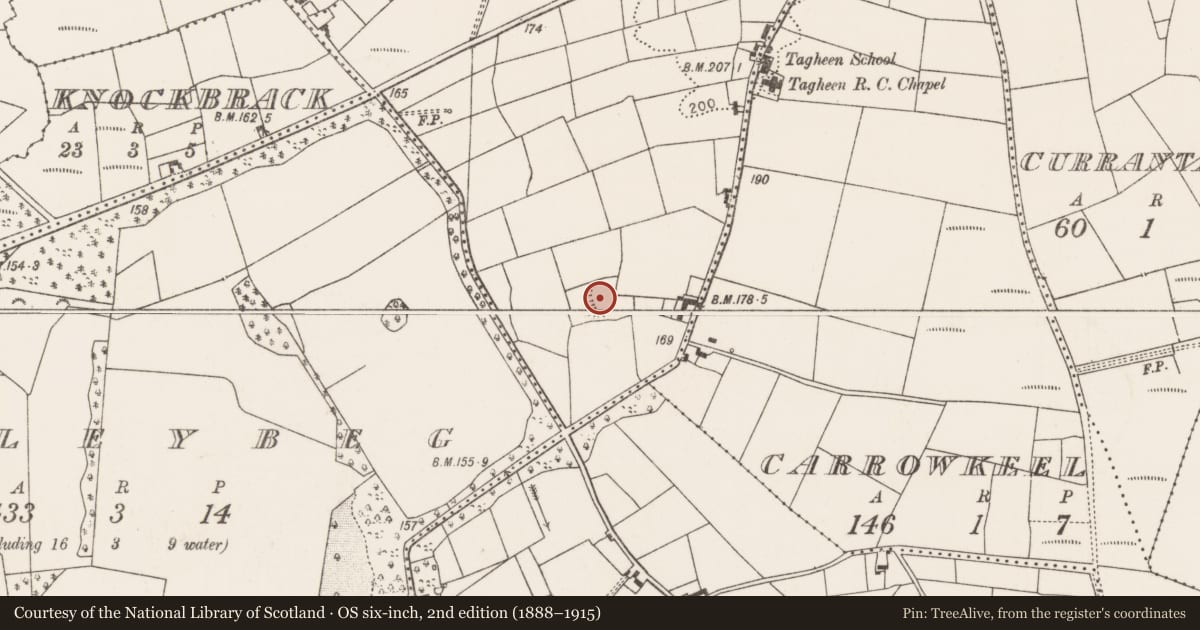 Ordnance Survey six-inch map, 2nd edition (1888–1915) covering the location of Enclosure, Carrowmore (Clanmorris By., Tagheen Par.), County Mayo, with a pin at the register's coordinates