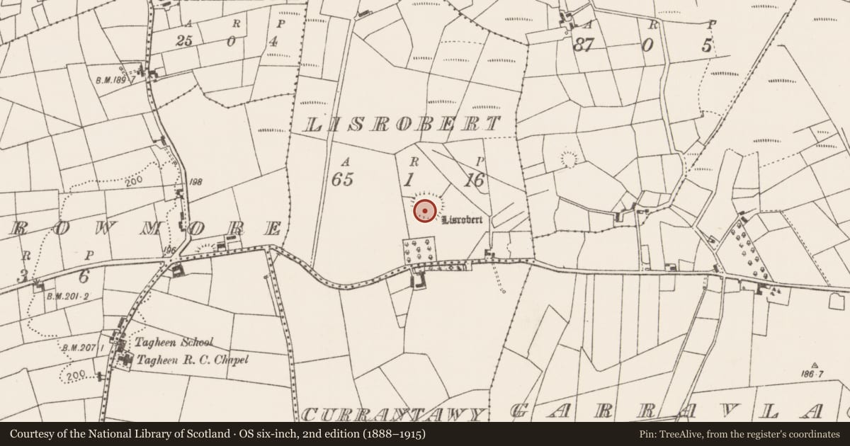 Ordnance Survey six-inch map, 2nd edition (1888–1915) covering the location of Enclosure, Lisrobert, County Mayo, with a pin at the register's coordinates