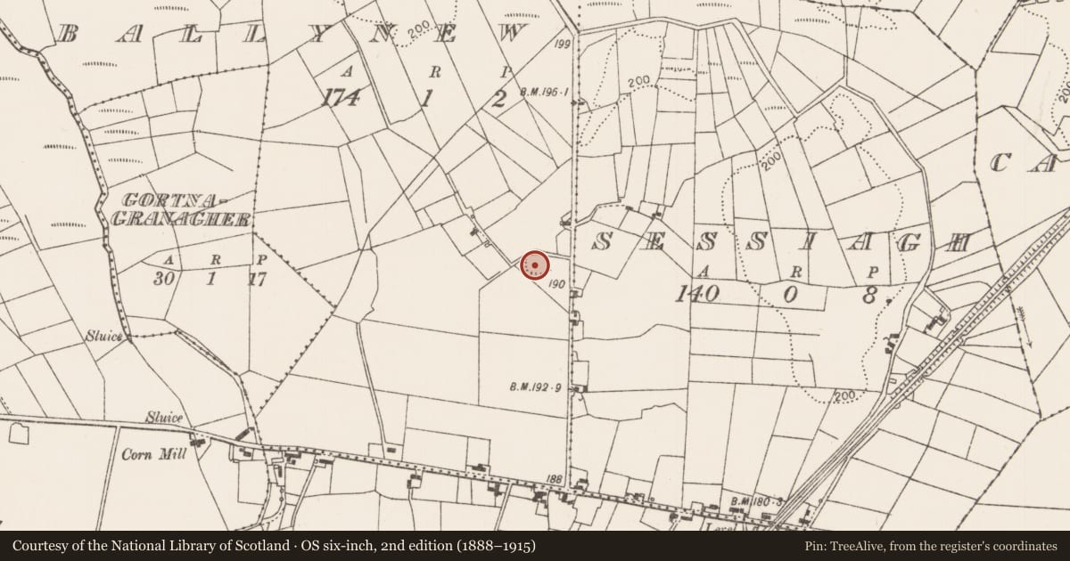 Ordnance Survey six-inch map, 2nd edition (1888–1915) covering the location of Enclosure, Ballynew (Clanmorris By., Tagheen Par.), County Mayo, with a pin at the register's coordinates