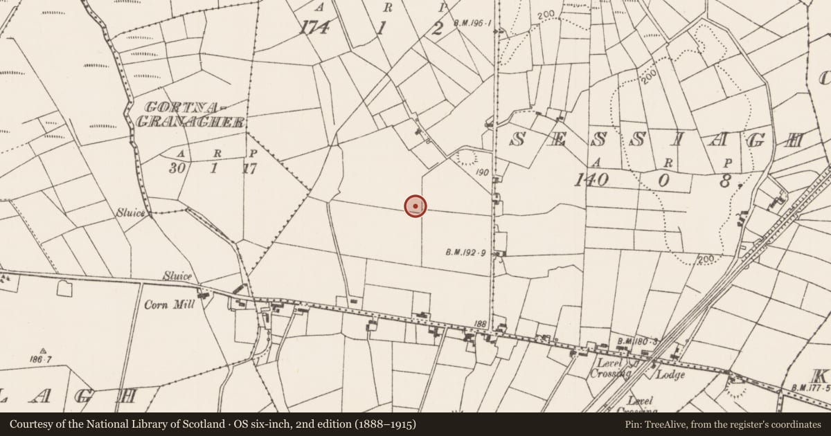 Ordnance Survey six-inch map, 2nd edition (1888–1915) covering the location of Enclosure, Ballynew (Clanmorris By., Tagheen Par.), County Mayo, with a pin at the register's coordinates
