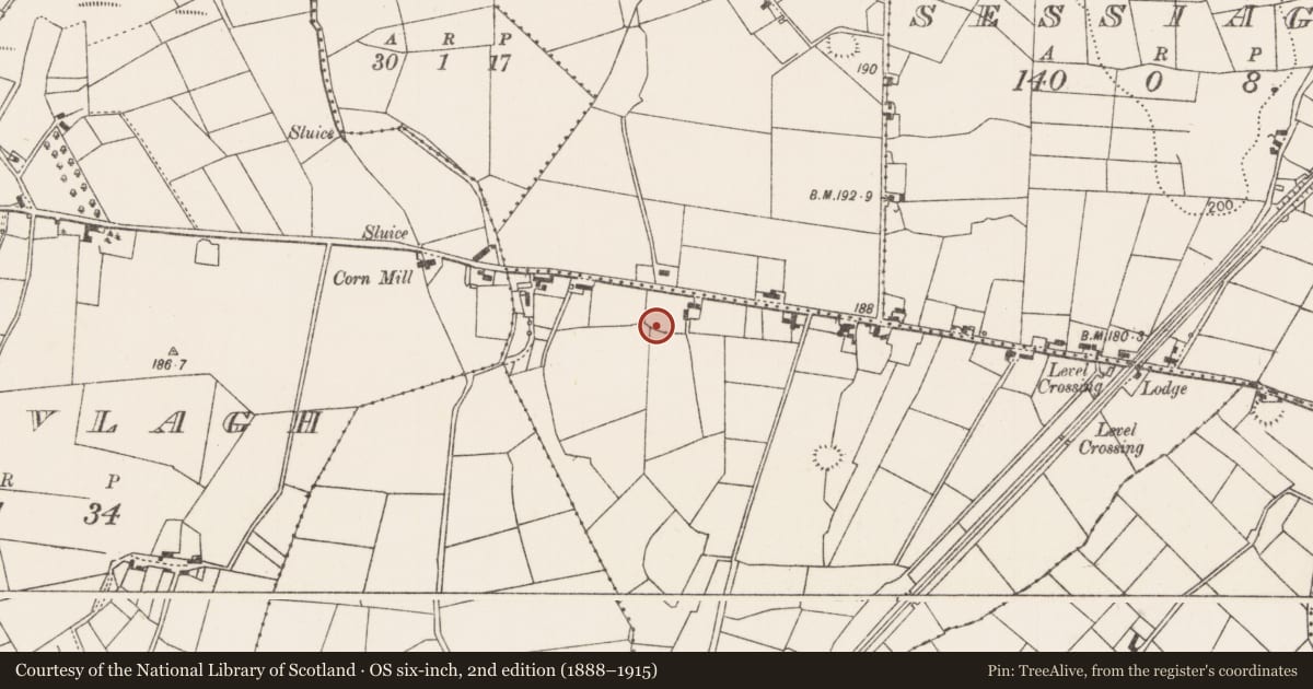 Ordnance Survey six-inch map, 2nd edition (1888–1915) covering the location of Enclosure, Belladaff, County Mayo, with a pin at the register's coordinates