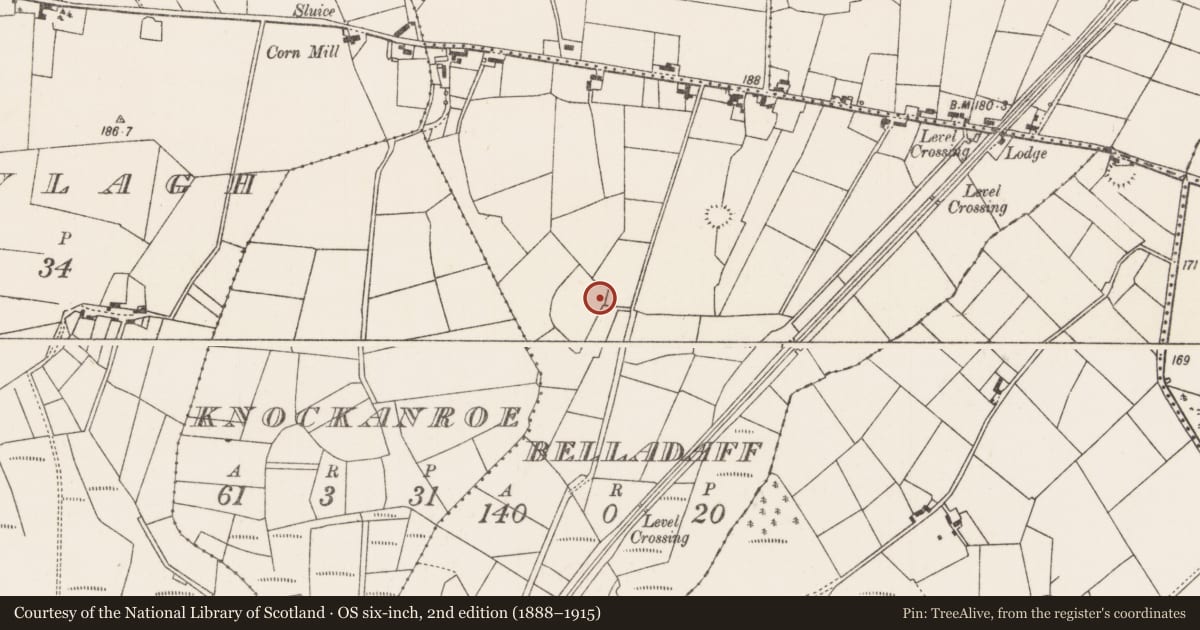 Ordnance Survey six-inch map, 2nd edition (1888–1915) covering the location of Enclosure, Belladaff, County Mayo, with a pin at the register's coordinates