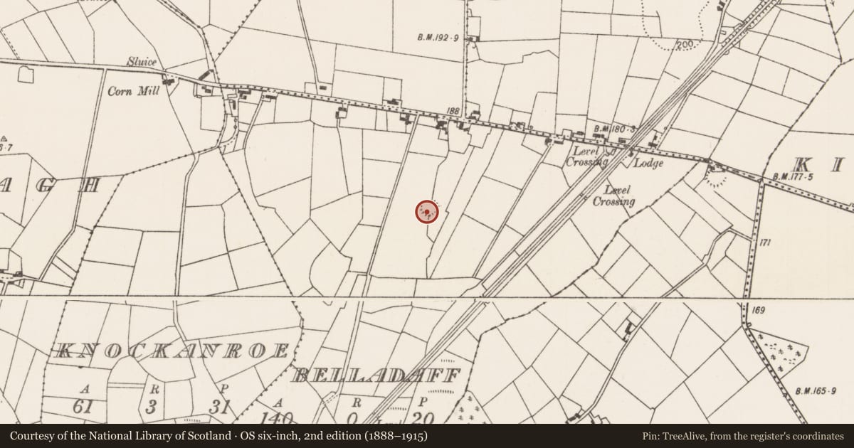Ordnance Survey six-inch map, 2nd edition (1888–1915) covering the location of Enclosure, Belladaff, County Mayo, with a pin at the register's coordinates