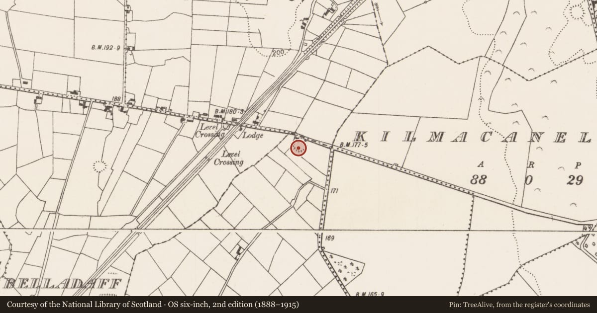 Ordnance Survey six-inch map, 2nd edition (1888–1915) covering the location of Enclosure, Knockananeel, County Mayo, with a pin at the register's coordinates