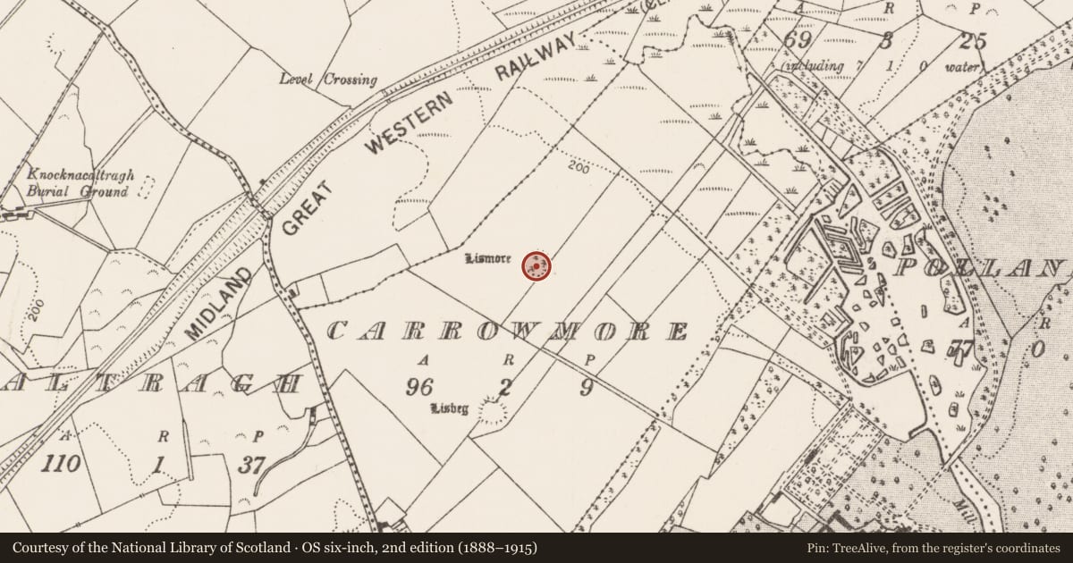 Ordnance Survey six-inch map, 2nd edition (1888–1915) covering the location of Enclosure, Carrowmore (Clanmorris By., Crossboyne Par.), County Mayo, with a pin at the register's coordinates