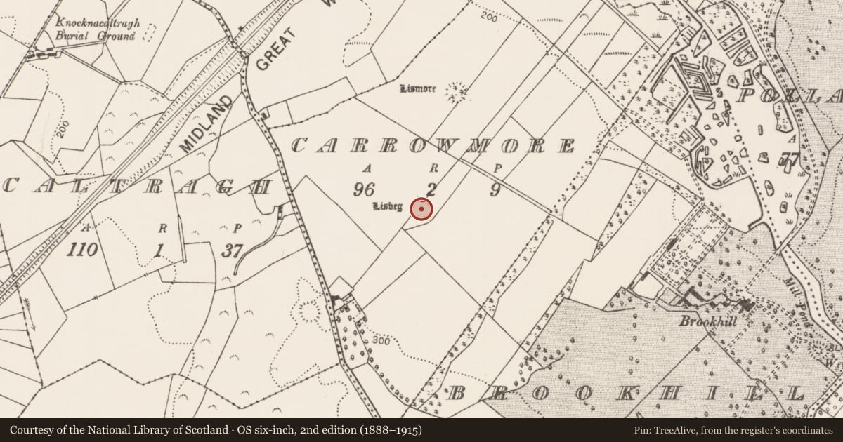 Ordnance Survey six-inch map, 2nd edition (1888–1915) covering the location of Enclosure, Carrowmore (Clanmorris By., Crossboyne Par.), County Mayo, with a pin at the register's coordinates