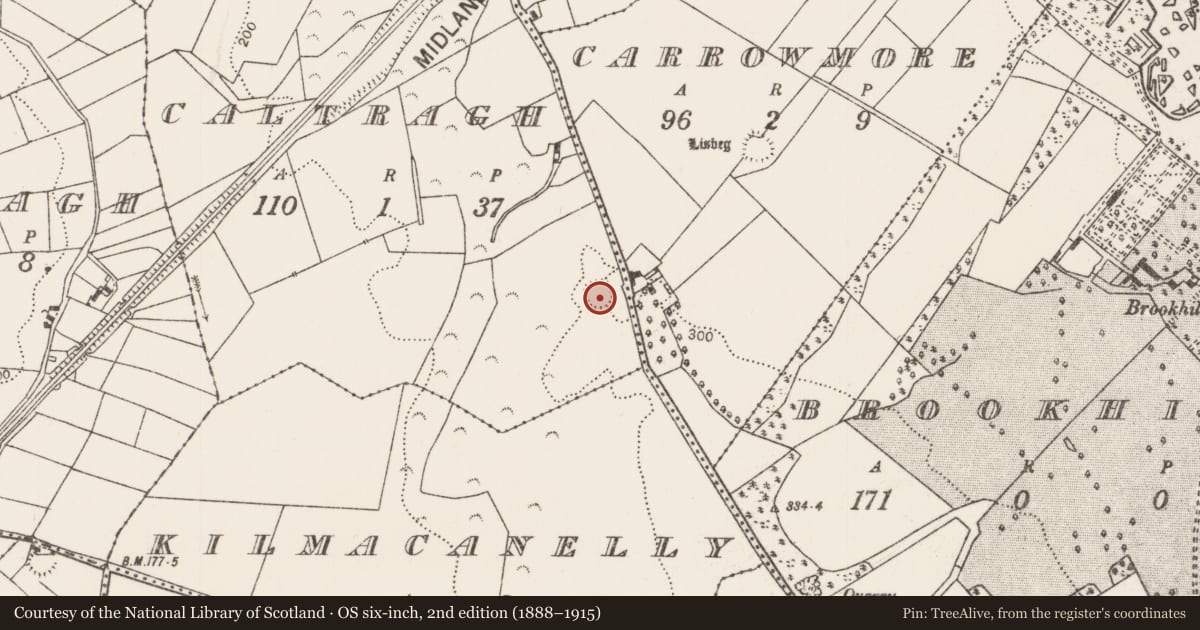 Ordnance Survey six-inch map, 2nd edition (1888–1915) covering the location of Enclosure, Caltragh, County Mayo, with a pin at the register's coordinates