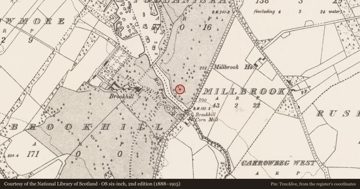 Ordnance Survey six-inch map, 2nd edition (1888–1915) covering the location of Enclosure, Pollaniska, County Mayo, with a pin at the register's coordinates