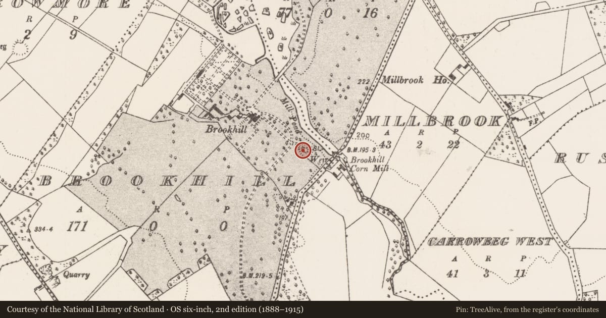 Ordnance Survey six-inch map, 2nd edition (1888–1915) covering the location of Prehistoric site - lithic scatter, Brookhill, County Mayo, with a pin at the register's coordinates