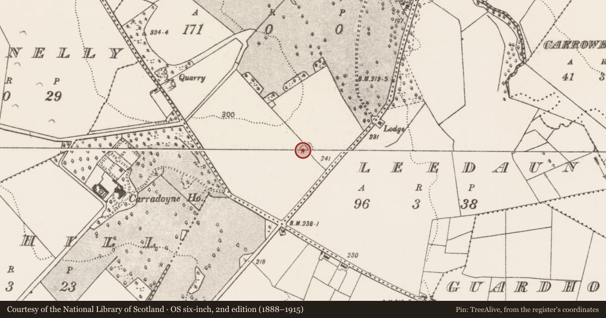 Ordnance Survey six-inch map, 2nd edition (1888–1915) covering the location of Enclosure, Brookhill, County Mayo, with a pin at the register's coordinates
