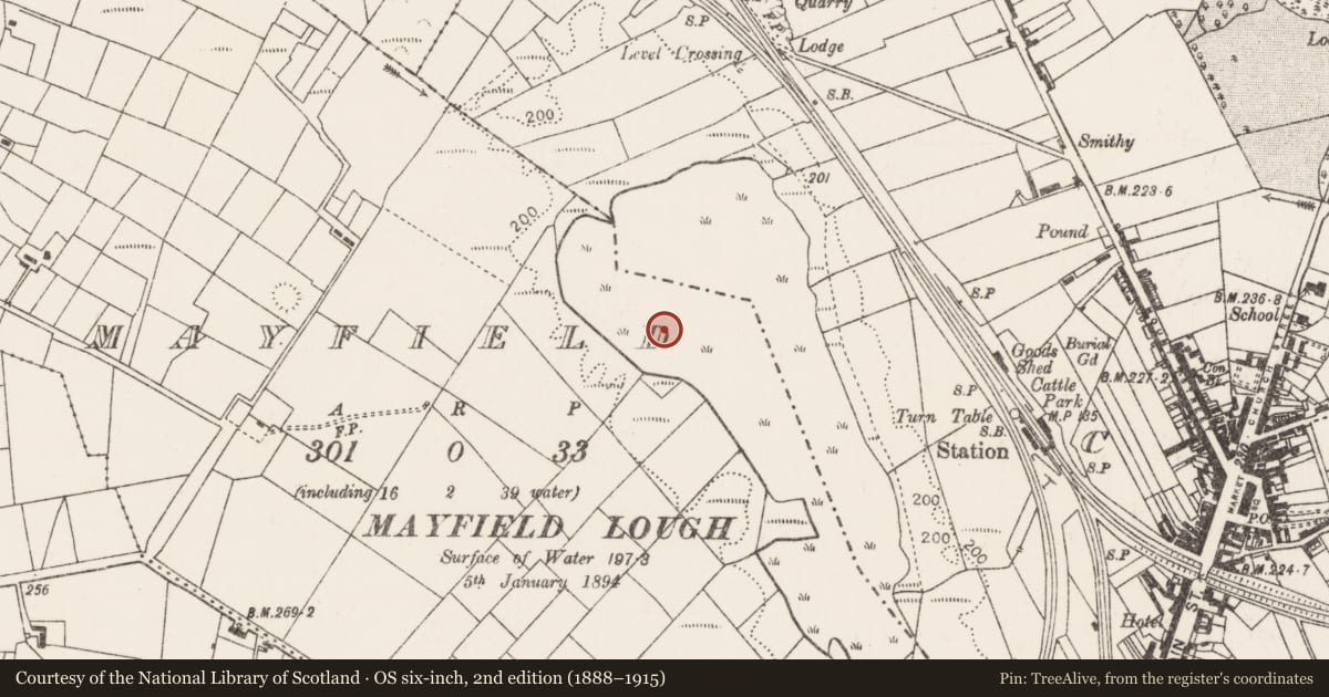 Ordnance Survey six-inch map, 2nd edition (1888–1915) covering the location of Crannog, Mayfield, County Mayo, with a pin at the register's coordinates