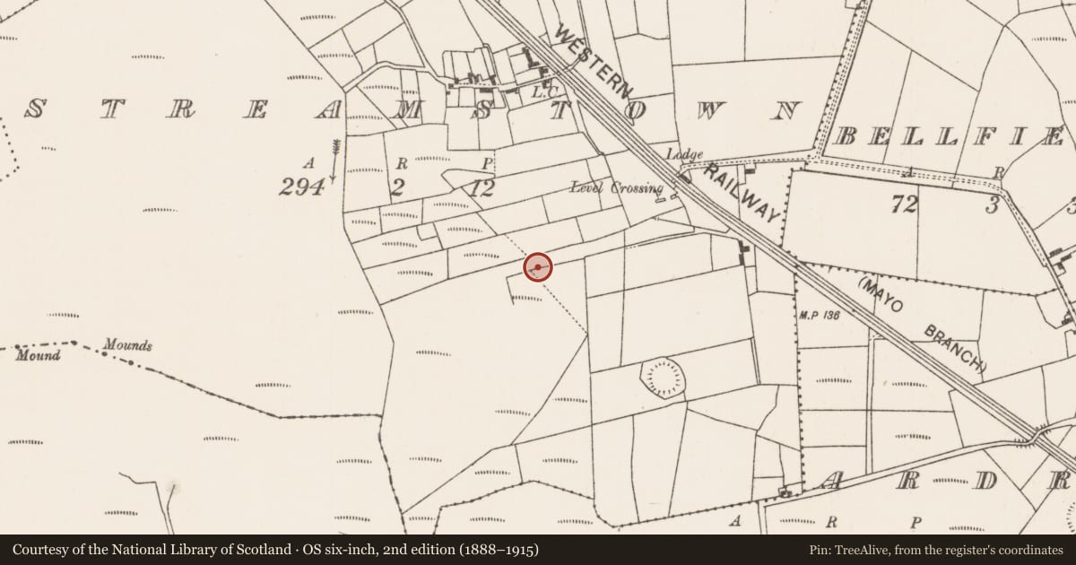 Ordnance Survey six-inch map, 2nd edition (1888–1915) covering the location of Road - road/trackway, Streamstown, County Mayo, with a pin at the register's coordinates