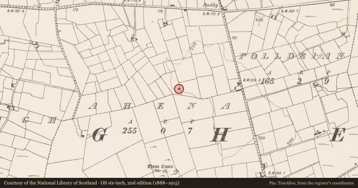 Ordnance Survey six-inch map, 2nd edition (1888–1915) covering the location of Enclosure, Ahena, County Mayo, with a pin at the register's coordinates