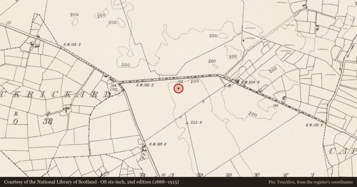 Ordnance Survey six-inch map, 2nd edition (1888–1915) covering the location of Children's burial ground, Barreel, County Mayo, with a pin at the register's coordinates