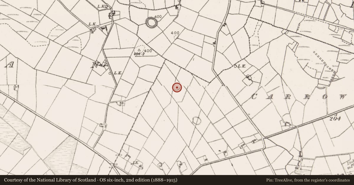 Ordnance Survey six-inch map, 2nd edition (1888–1915) covering the location of Enclosure, Cloontumper, County Mayo, with a pin at the register's coordinates