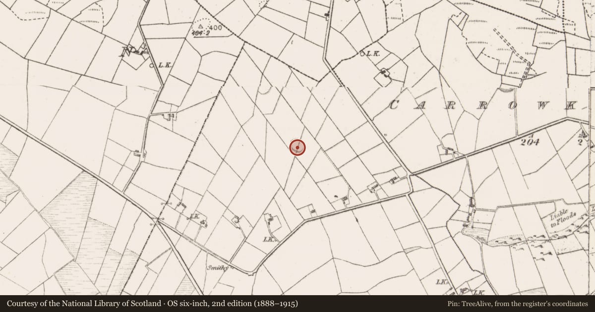 Ordnance Survey six-inch map, 2nd edition (1888–1915) covering the location of Enclosure, Cloontumper, County Mayo, with a pin at the register's coordinates