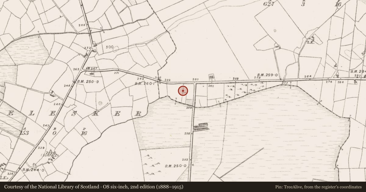 Ordnance Survey six-inch map, 2nd edition (1888–1915) covering the location of Fulacht fia, Cloontumper, County Mayo, with a pin at the register's coordinates