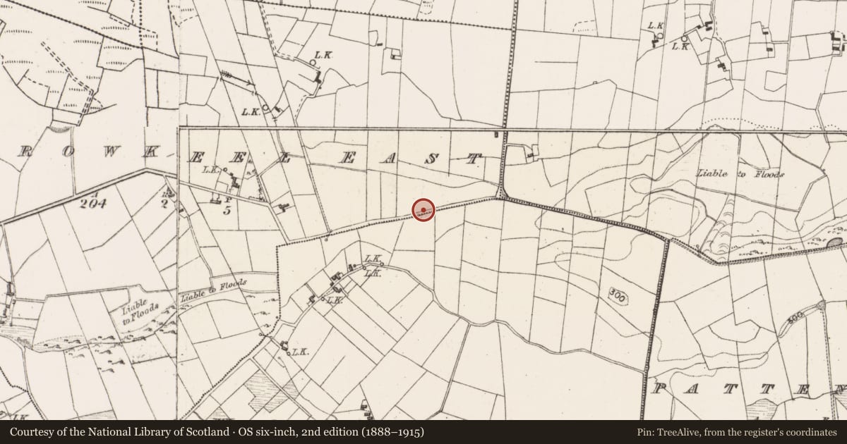 Ordnance Survey six-inch map, 2nd edition (1888–1915) covering the location of Ritual site - holy/saint's stone, Carrowkeel East, County Mayo, with a pin at the register's coordinates