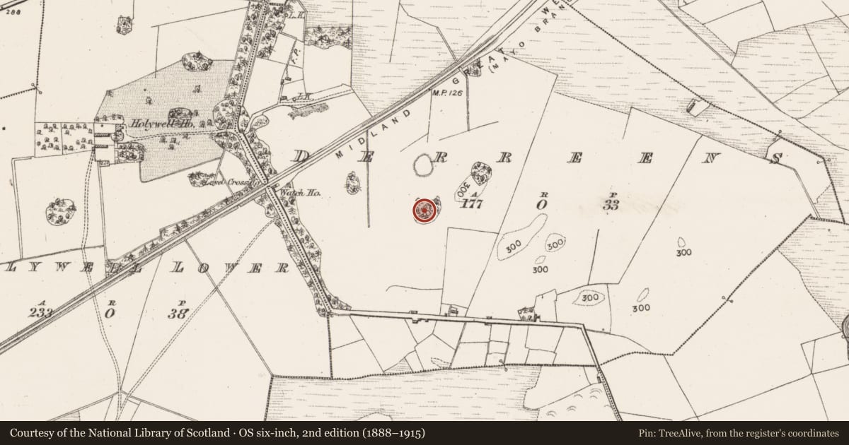 Ordnance Survey six-inch map, 2nd edition (1888–1915) covering the location of Designed landscape - tree-ring, Derreens, County Mayo, with a pin at the register's coordinates