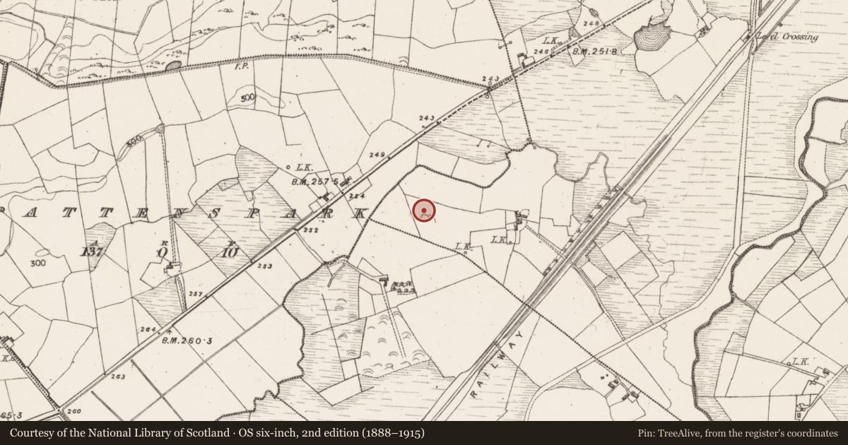 Ordnance Survey six-inch map, 2nd edition (1888–1915) covering the location of Ringfort - rath, Hazelhill, County Mayo, with a pin at the register's coordinates