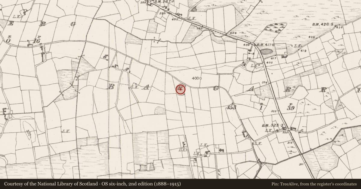 Ordnance Survey six-inch map, 2nd edition (1888–1915) covering the location of Ringfort - rath, Bargarriff, County Mayo, with a pin at the register's coordinates