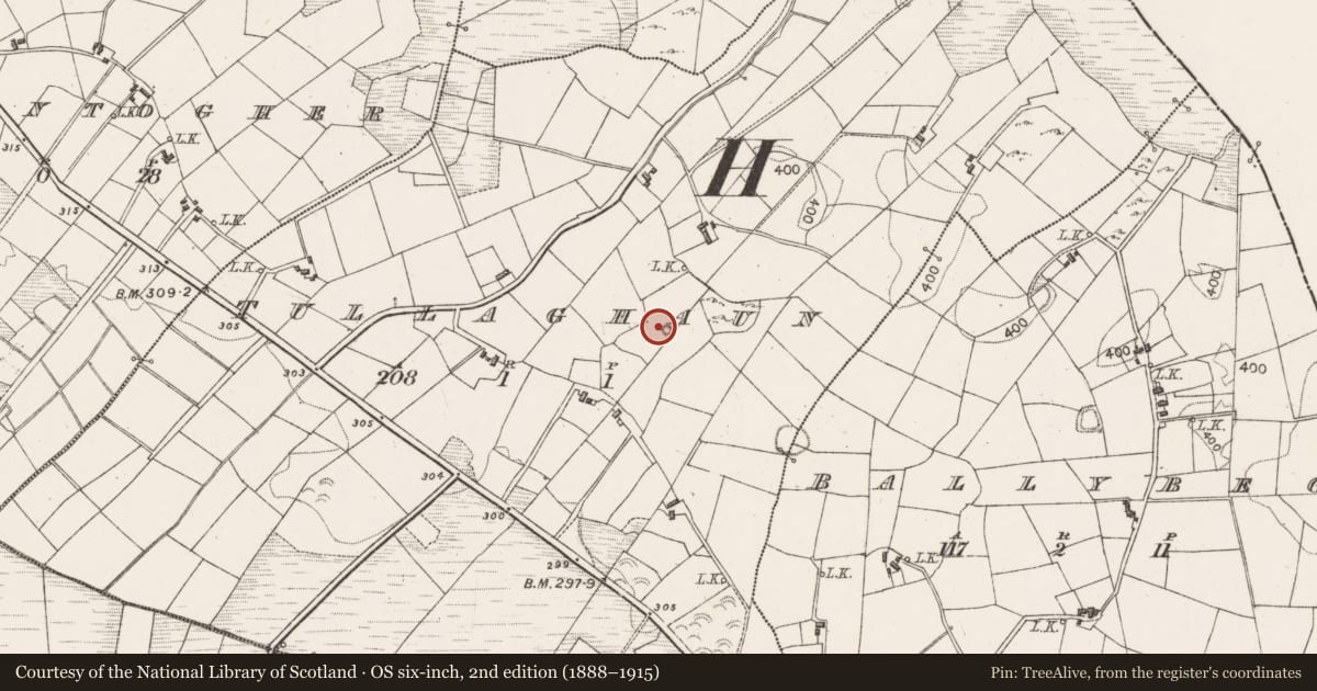 Ordnance Survey six-inch map, 2nd edition (1888–1915) covering the location of Barrow - unclassified, Tullaghaun, County Mayo, with a pin at the register's coordinates