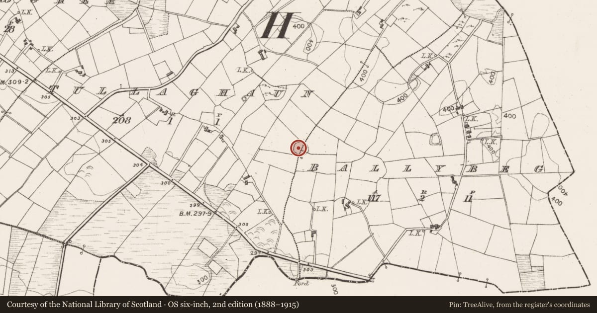 Ordnance Survey six-inch map, 2nd edition (1888–1915) covering the location of Ringfort - rath, Ballybeg, Tullaghaun, County Mayo, with a pin at the register's coordinates