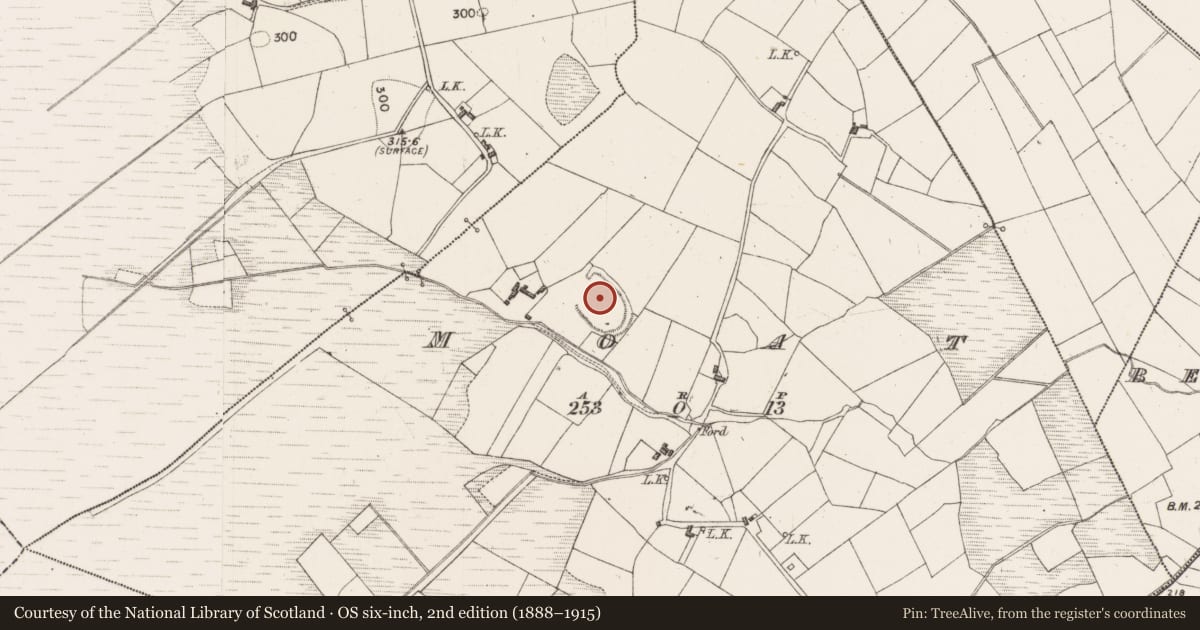 Ordnance Survey six-inch map, 2nd edition (1888–1915) covering the location of Castle - motte, Moat, County Mayo, with a pin at the register's coordinates