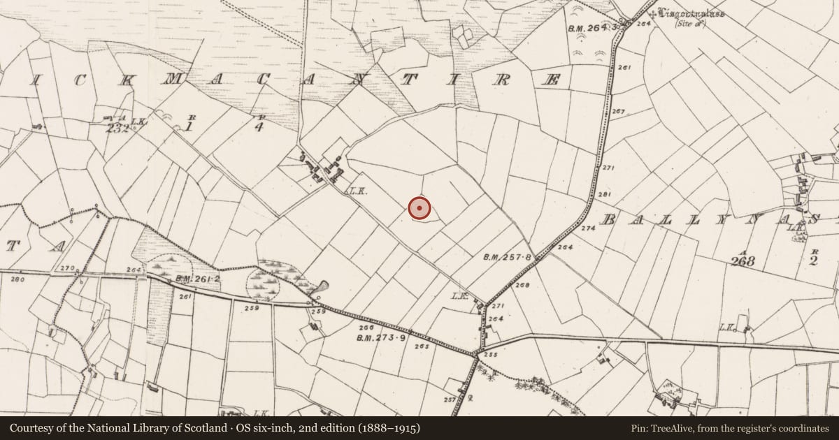 Ordnance Survey six-inch map, 2nd edition (1888–1915) covering the location of Ringfort - rath, Carrickmacantire, County Mayo, with a pin at the register's coordinates