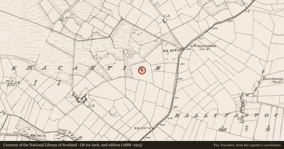 Ordnance Survey six-inch map, 2nd edition (1888–1915) covering the location of Enclosure, Carrickmacantire, County Mayo, with a pin at the register's coordinates
