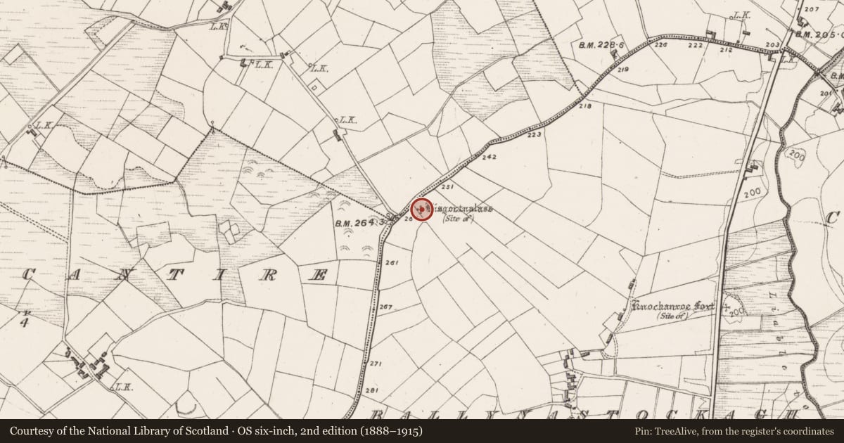 Ordnance Survey six-inch map, 2nd edition (1888–1915) covering the location of Ringfort - rath, Ballynastockagh, County Mayo, with a pin at the register's coordinates