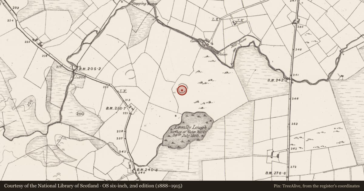 Ordnance Survey six-inch map, 2nd edition (1888–1915) covering the location of Ringfort - rath, Levallyroe, County Mayo, with a pin at the register's coordinates