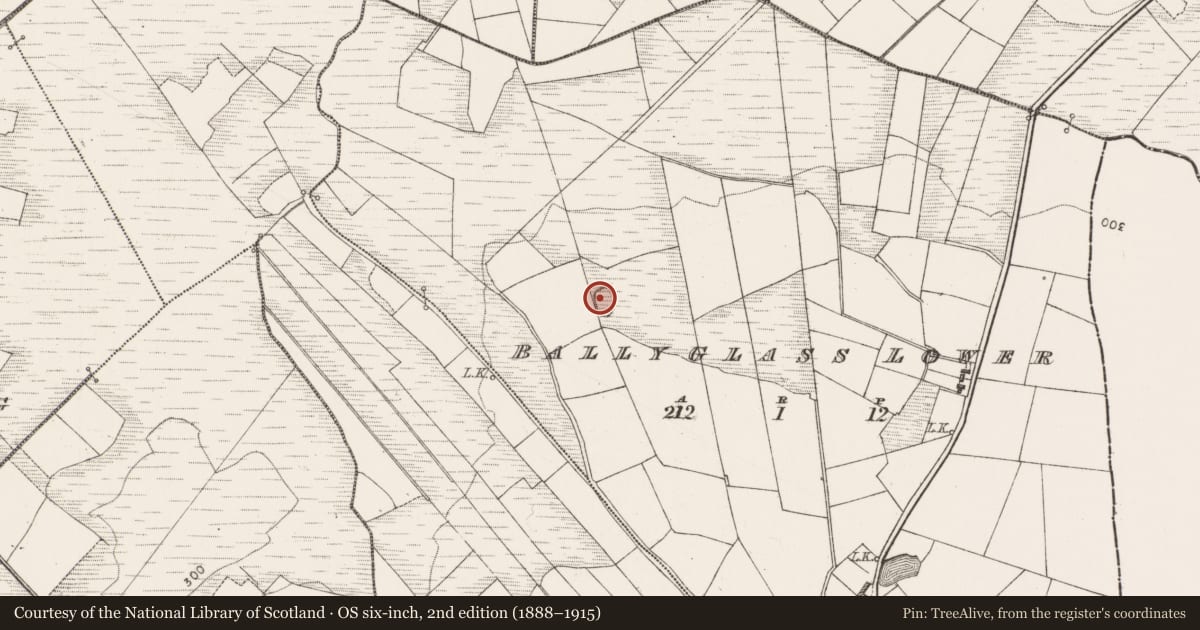 Ordnance Survey six-inch map, 2nd edition (1888–1915) covering the location of Ringfort - rath, Ballyglass Lower, County Mayo, with a pin at the register's coordinates