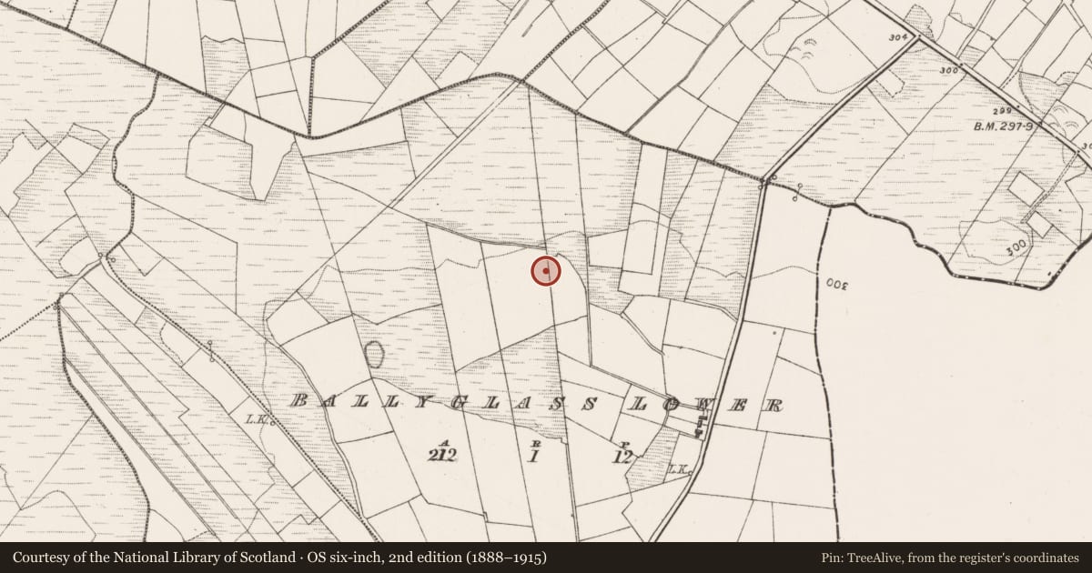 Ordnance Survey six-inch map, 2nd edition (1888–1915) covering the location of Ringfort - rath, Ballyglass Lower, County Mayo, with a pin at the register's coordinates