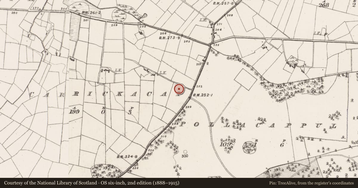Ordnance Survey six-inch map, 2nd edition (1888–1915) covering the location of Ringfort - rath, Carrickacat, County Mayo, with a pin at the register's coordinates