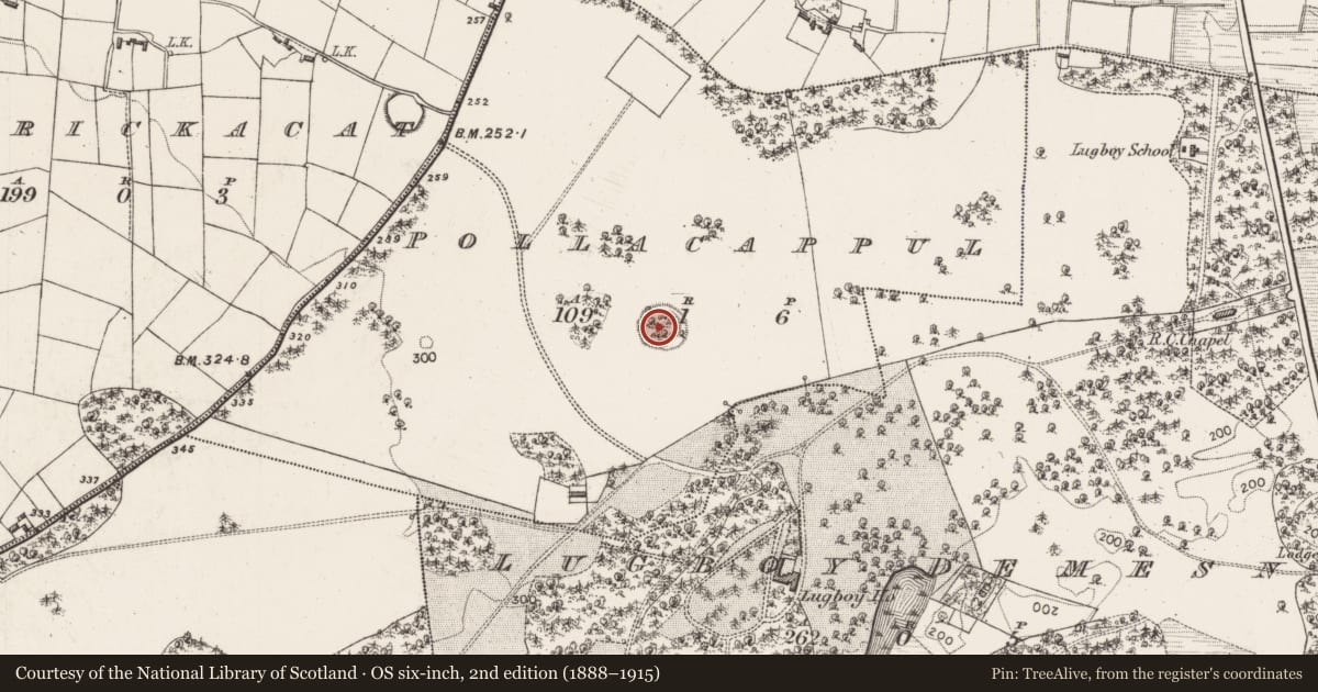 Ordnance Survey six-inch map, 2nd edition (1888–1915) covering the location of Ringfort - rath, Pollacappul, County Mayo, with a pin at the register's coordinates