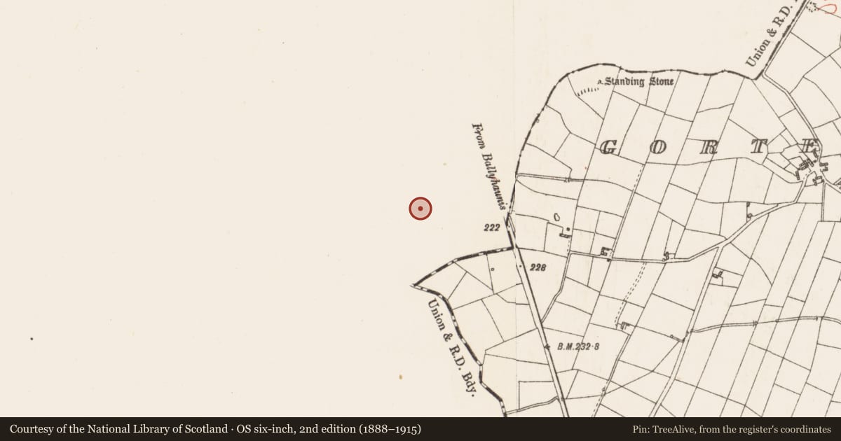 Ordnance Survey six-inch map, 2nd edition (1888–1915) covering the location of Barrow - ring-barrow, Levallyroe, County Mayo, with a pin at the register's coordinates