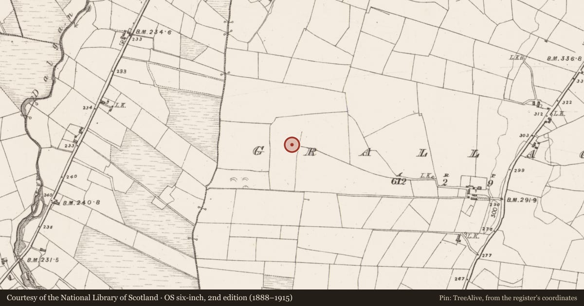 Ordnance Survey six-inch map, 2nd edition (1888–1915) covering the location of Megalithic tomb - unclassified, Grallagh, County Mayo, with a pin at the register's coordinates